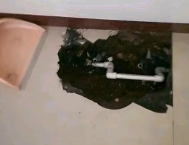 滕州卫生间测漏水多少钱
